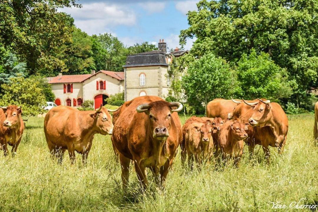 Вилла Domaine Des Roches Blanches Le Pin  Экстерьер фото