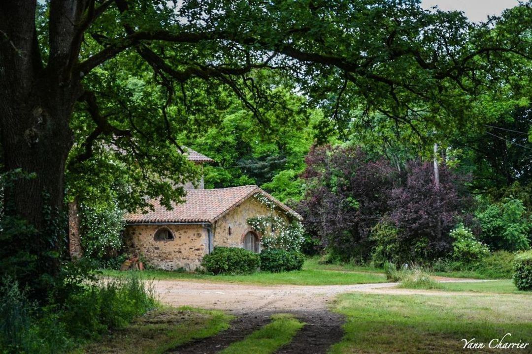 Вилла Domaine Des Roches Blanches Le Pin  Экстерьер фото