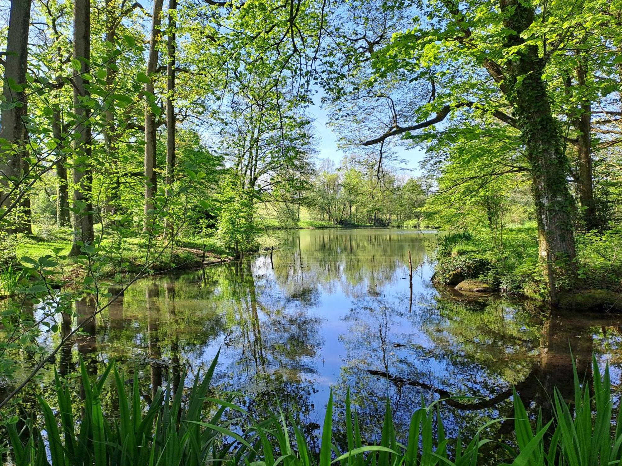 Вилла Domaine Des Roches Blanches Le Pin  Экстерьер фото