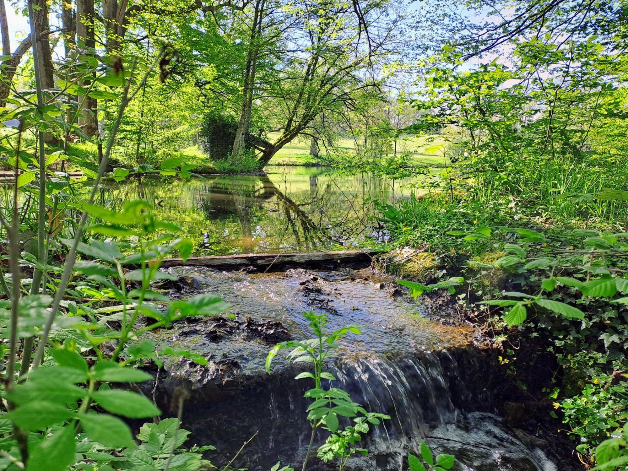 Вилла Domaine Des Roches Blanches Le Pin  Экстерьер фото