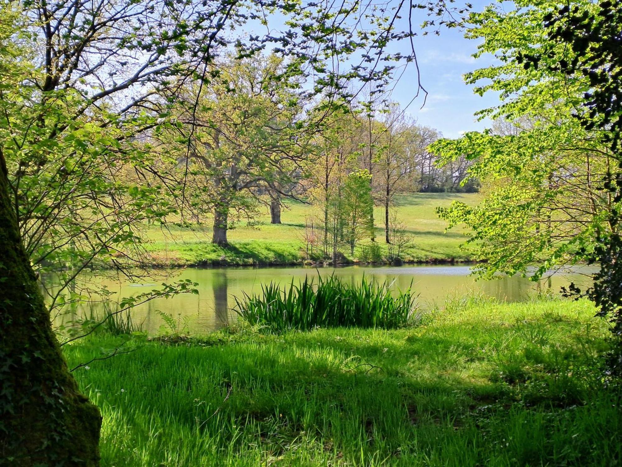 Вилла Domaine Des Roches Blanches Le Pin  Экстерьер фото