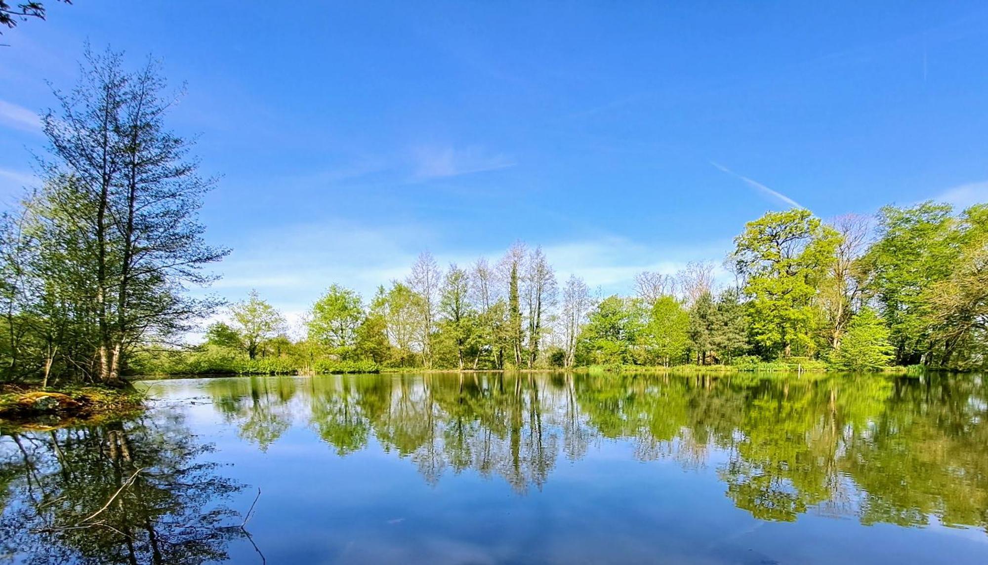 Вилла Domaine Des Roches Blanches Le Pin  Экстерьер фото