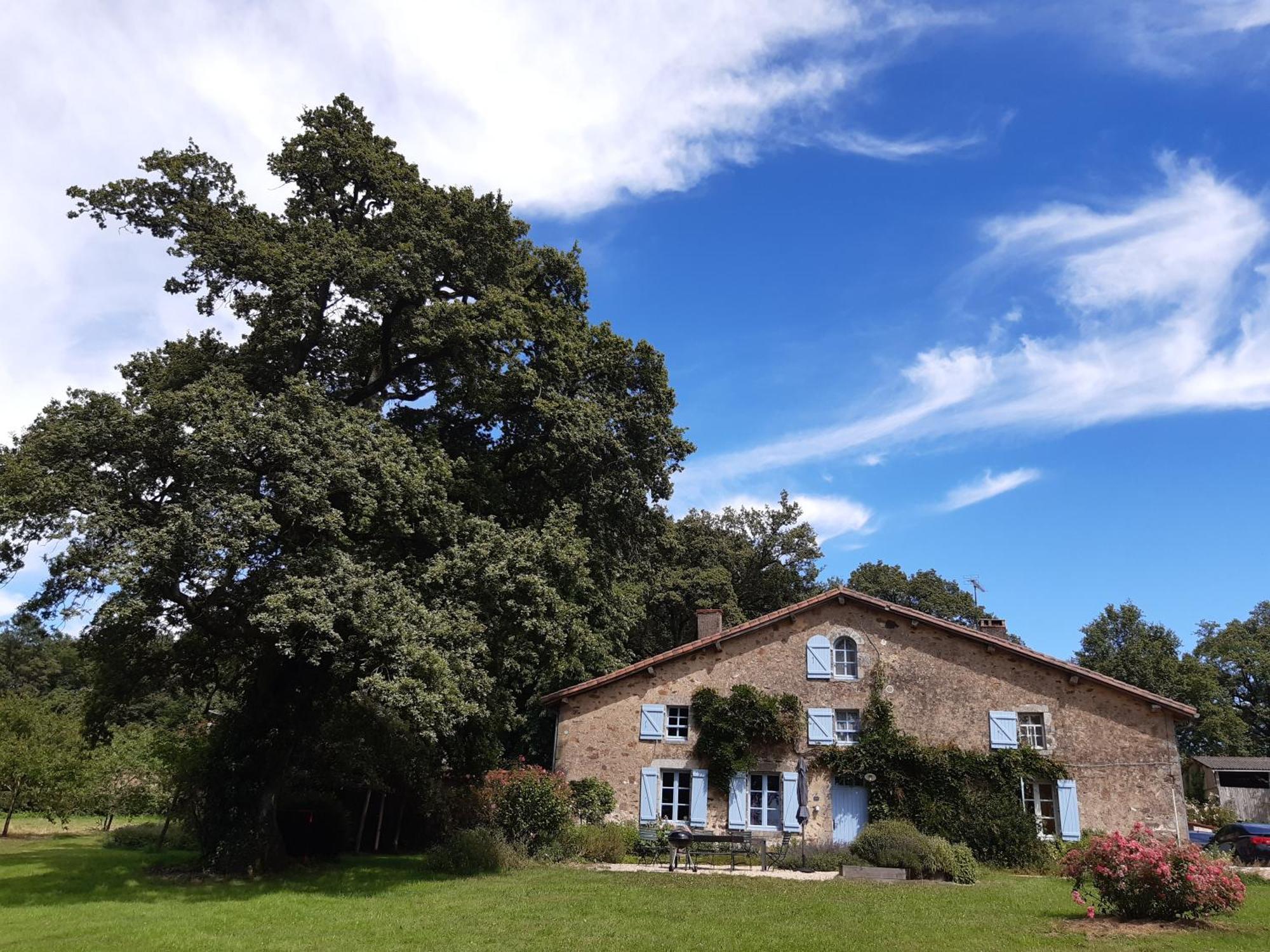 Вилла Domaine Des Roches Blanches Le Pin  Экстерьер фото